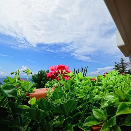 Villa Linda, Exceptional Sea-view *